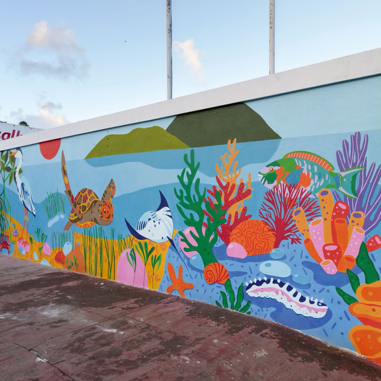 Murals & Graphics